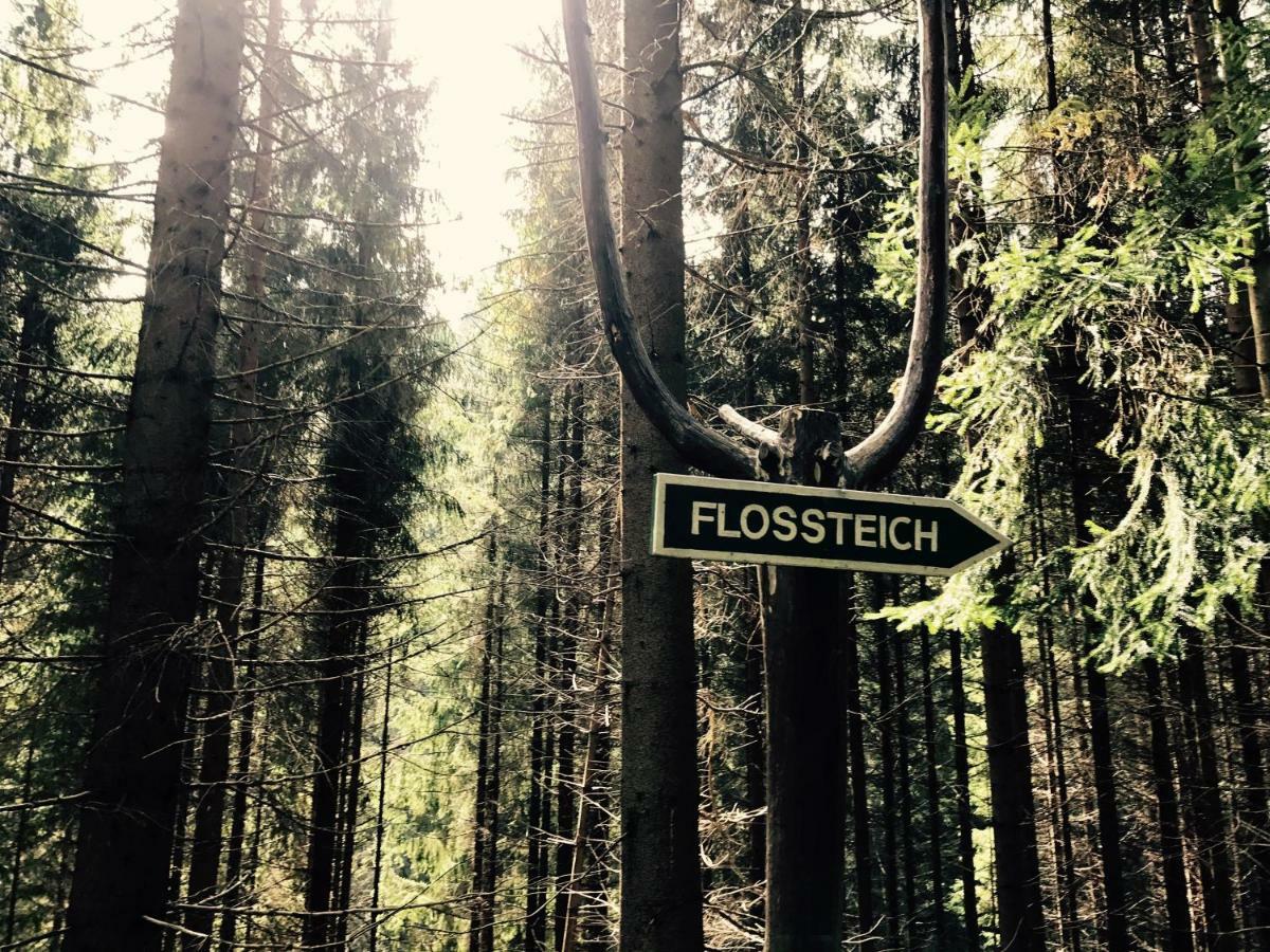 Flair-Hotel Waldfrieden Oberweißbach Exteriér fotografie