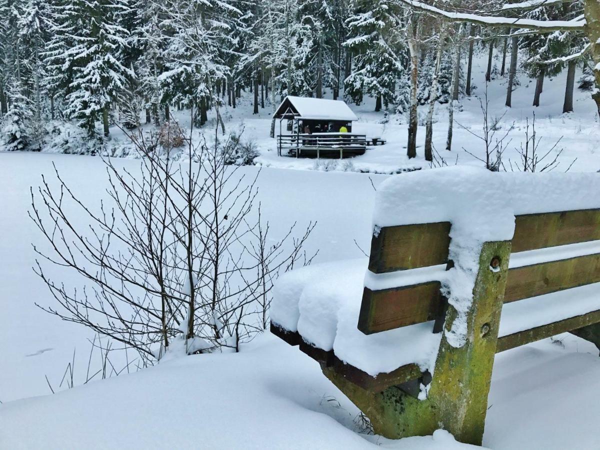 Flair-Hotel Waldfrieden Oberweißbach Exteriér fotografie